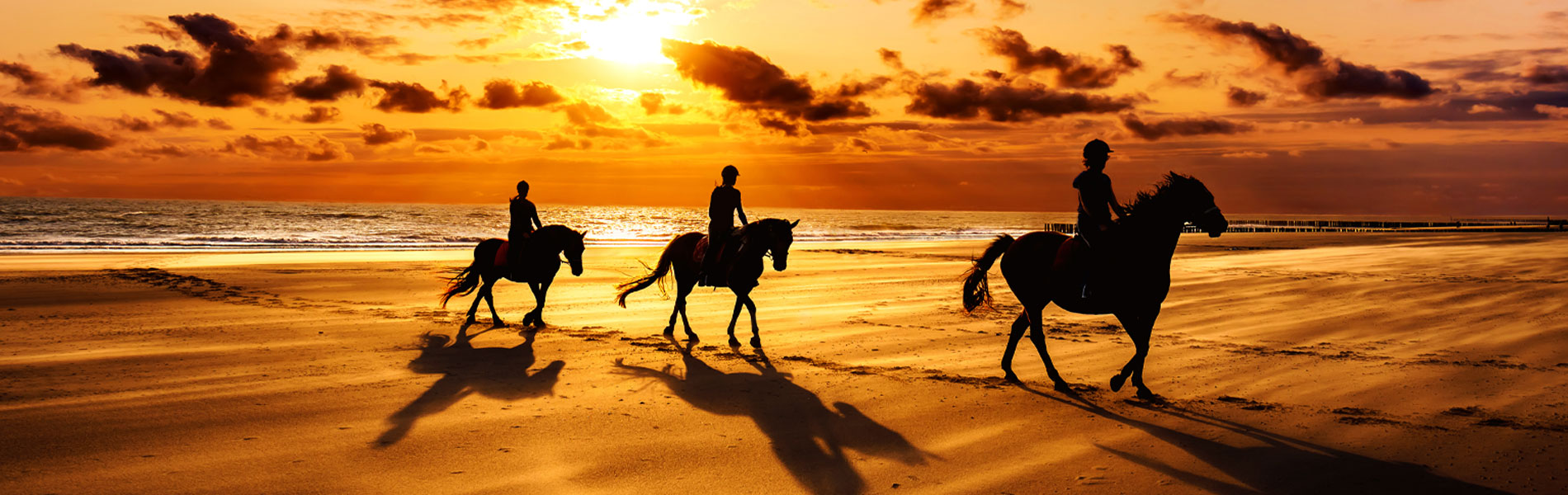 imagebackgroundsite